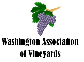 Vineyard Association